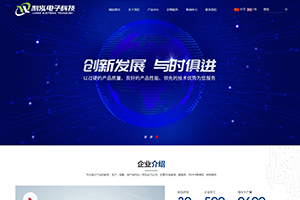 山東利泓電子科技有限公司